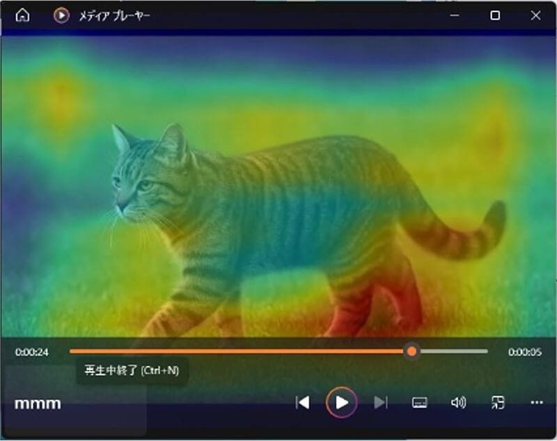 芝生の上を歩く猫の動画